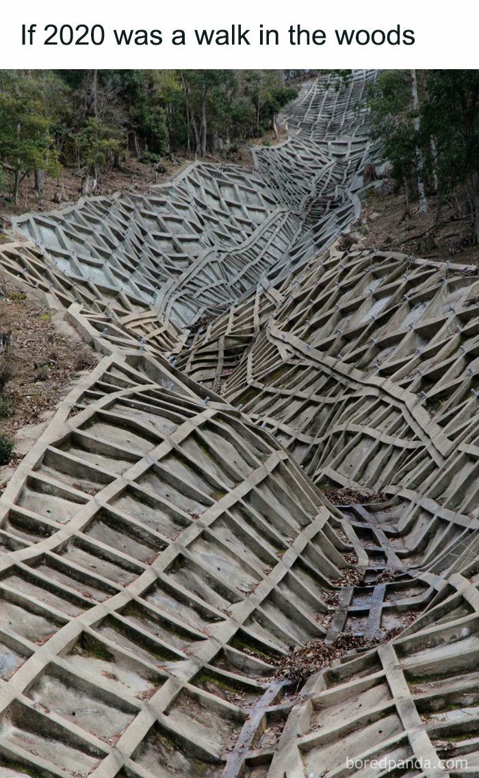 People Are Posting “2020 Versions” Of Things, And Here Are The Best Ones People Are Posting “2020 Versions” Of Things, And Here Are The Best Ones