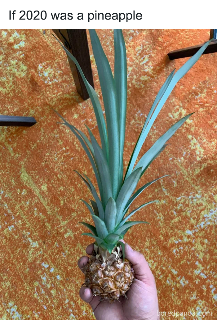 People Are Posting “2020 Versions” Of Things, And Here Are The Best Ones People Are Posting “2020 Versions” Of Things, And Here Are The Best Ones