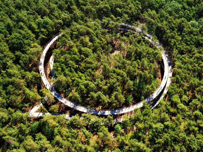 This 360-Degree Pathway In Belgium Lets You Cycle Through The Trees 32 Ft Above The Ground This 360-Degree Pathway In Belgium Lets You Cycle Through The Trees 32 Ft Above The Ground