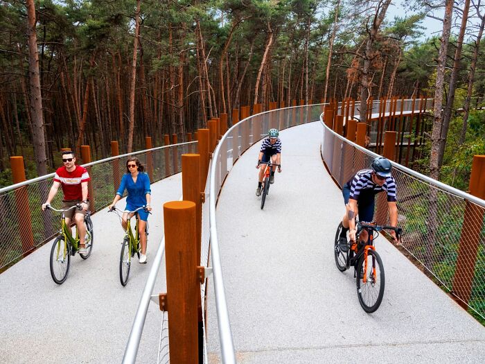This 360-Degree Pathway In Belgium Lets You Cycle Through The Trees 32 Ft Above The Ground This 360-Degree Pathway In Belgium Lets You Cycle Through The Trees 32 Ft Above The Ground