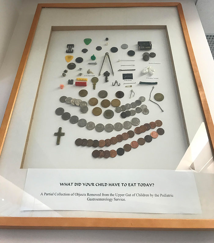 50 People Share Their Unique Collections 50 People Share Their Unique Collections