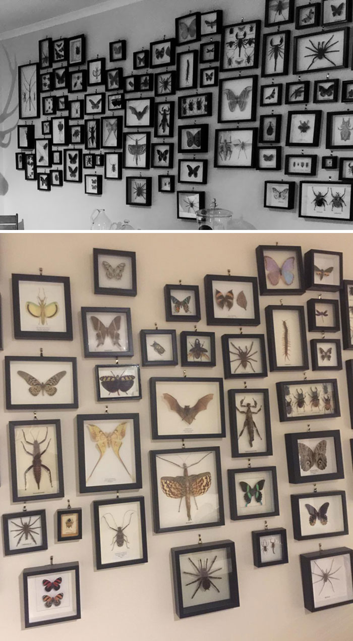 50 People Share Their Unique Collections 50 People Share Their Unique Collections