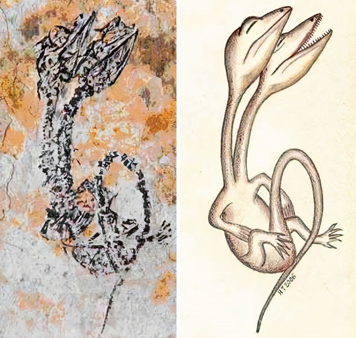 19 Ancient Fossils That’ll Make You Say ‘Whoa’ 19 Ancient Fossils That’ll Make You Say ‘Whoa’