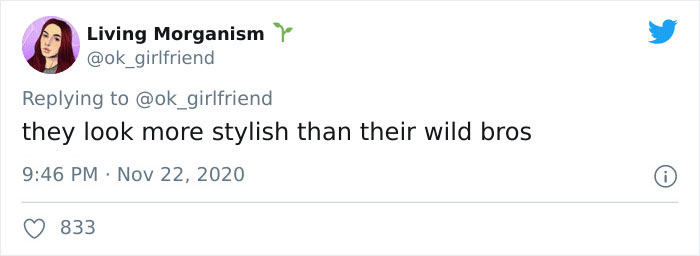 Turns Out, Sea Urchins Like To Use Shells As Hats, So People 3D-Print Them Some Cool Ones Turns Out, Sea Urchins Like To Use Shells As Hats, So People 3D-Print Them Some Cool Ones