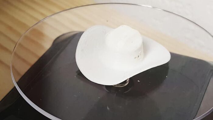 Turns Out, Sea Urchins Like To Use Shells As Hats, So People 3D-Print Them Some Cool Ones Turns Out, Sea Urchins Like To Use Shells As Hats, So People 3D-Print Them Some Cool Ones