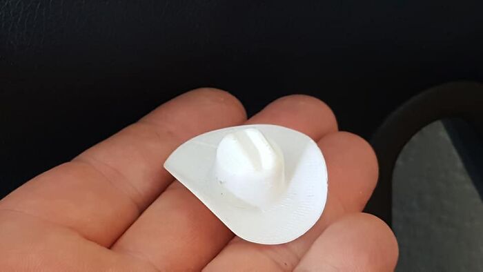 Turns Out, Sea Urchins Like To Use Shells As Hats, So People 3D-Print Them Some Cool Ones Turns Out, Sea Urchins Like To Use Shells As Hats, So People 3D-Print Them Some Cool Ones