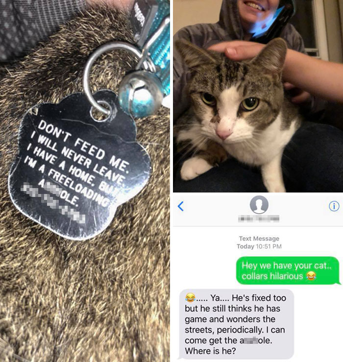 50 Hilarious Photos That Prove Cats Are The Biggest Jerks 50 Hilarious Photos That Prove Cats Are The Biggest Jerks