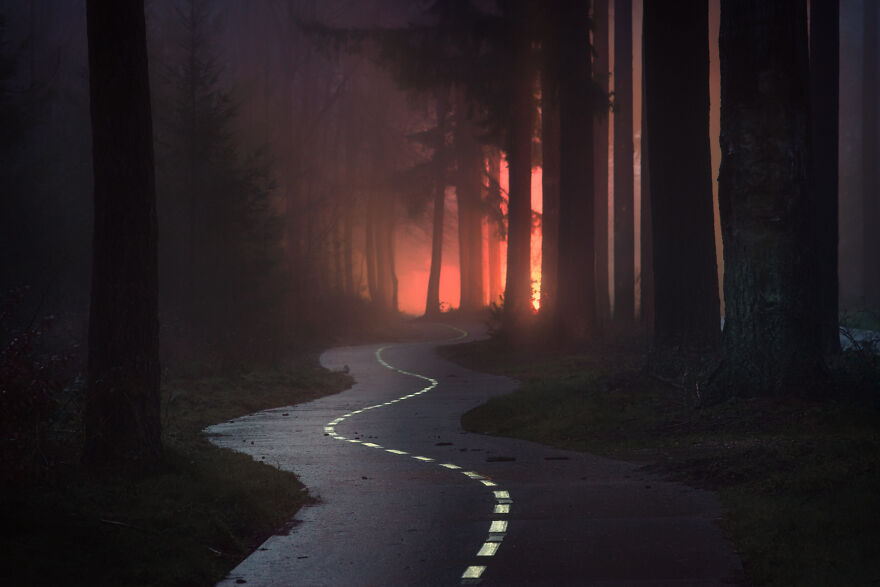 I Photographed Foggy Forest Roads And Paths In The Netherlands During Each Season (30 Pics) I Photographed Foggy Forest Roads And Paths In The Netherlands During Each Season (30 Pics)
