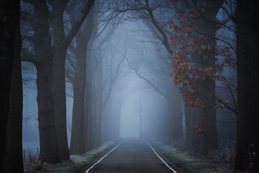 I Photographed Foggy Forest Roads And Paths In The Netherlands During Each Season (30 Pics) I Photographed Foggy Forest Roads And Paths In The Netherlands During Each Season (30 Pics)
