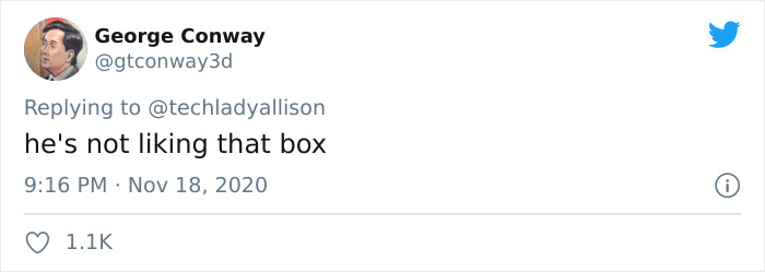 Workers Who Transported This Year’s Rockefeller Christmas Tree Found A Tiny Owl Tucked Inside It Workers Who Transported This Year’s Rockefeller Christmas Tree Found A Tiny Owl Tucked Inside It