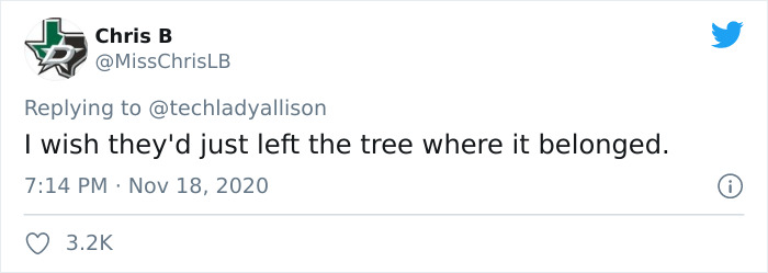 Workers Who Transported This Year’s Rockefeller Christmas Tree Found A Tiny Owl Tucked Inside It Workers Who Transported This Year’s Rockefeller Christmas Tree Found A Tiny Owl Tucked Inside It