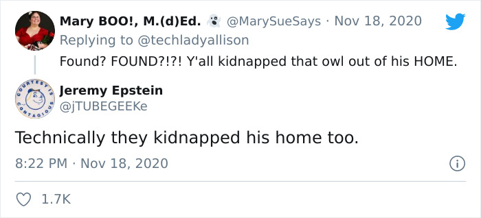 Workers Who Transported This Year’s Rockefeller Christmas Tree Found A Tiny Owl Tucked Inside It Workers Who Transported This Year’s Rockefeller Christmas Tree Found A Tiny Owl Tucked Inside It