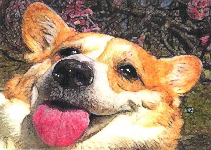 I Sold My Art To Make Fundraiser Donations For Animal Rescue Organizations