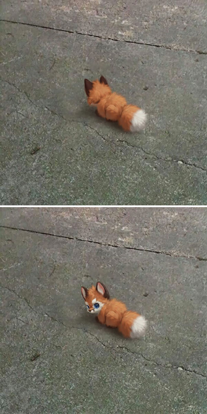 This Artist Can’t Have Pets In His Apartment, So He Puts Digital Furry Animals In Real-Life Situations (29 New Pics) This Artist Can’t Have Pets In His Apartment, So He Puts Digital Furry Animals In Real-Life Situations (29 New Pics)