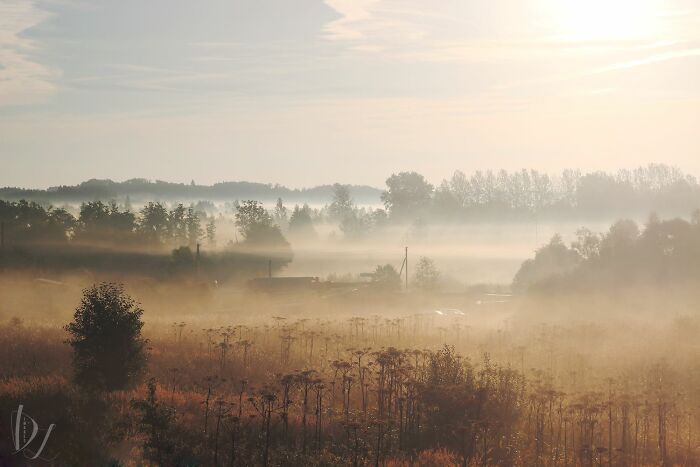 Hey Pandas, Share One Photo That You Took And Are Proud Of (Closed) Hey Pandas, Share One Photo That You Took And Are Proud Of (Closed)