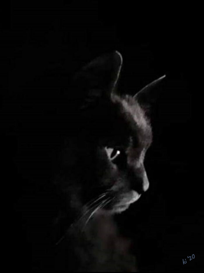 Hey Pandas, Share One Photo That You Took And Are Proud Of (Closed) Hey Pandas, Share One Photo That You Took And Are Proud Of (Closed)