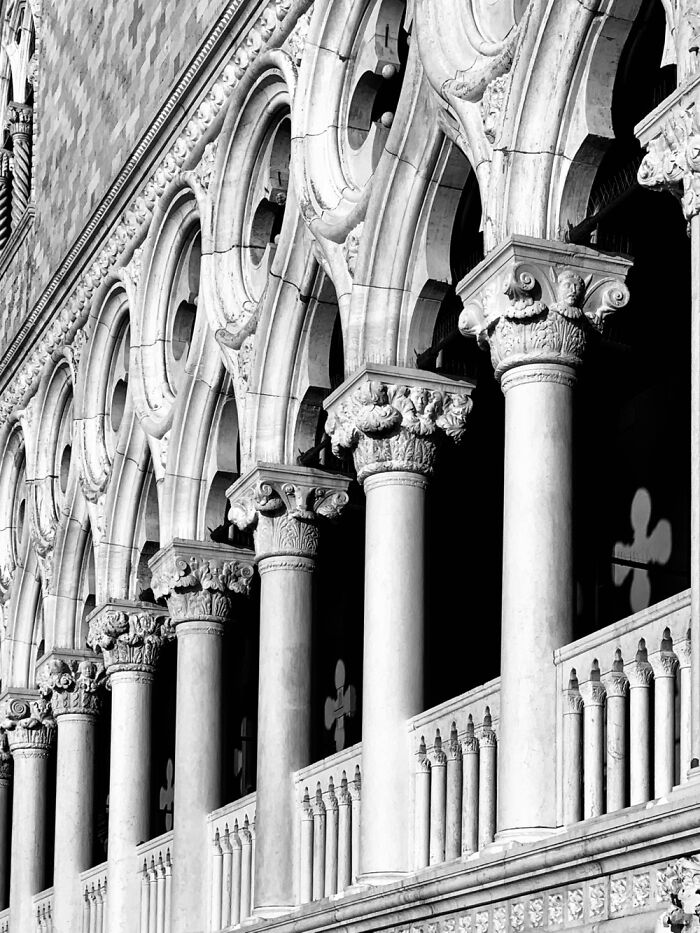 Hey Pandas, Share One Photo That You Took And Are Proud Of (Closed) Hey Pandas, Share One Photo That You Took And Are Proud Of (Closed)