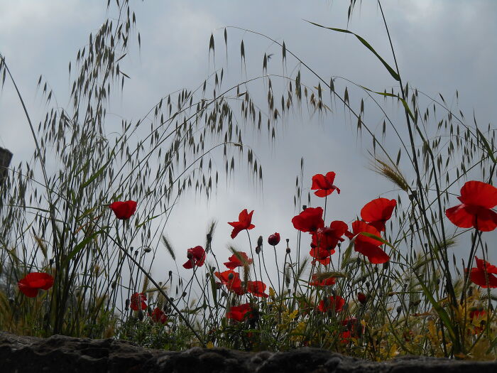 Hey Pandas, Share One Photo That You Took And Are Proud Of (Closed) Hey Pandas, Share One Photo That You Took And Are Proud Of (Closed)