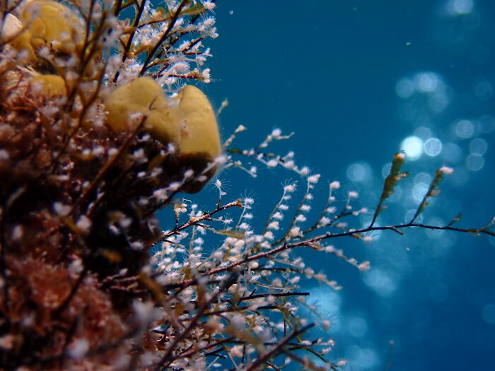 Hey Pandas, Share One Photo That You Took And Are Proud Of (Closed) Hey Pandas, Share One Photo That You Took And Are Proud Of (Closed)