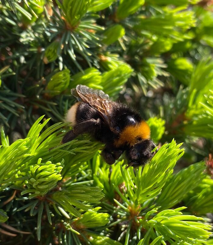 Hey Pandas, Share One Photo That You Took And Are Proud Of (Closed) Hey Pandas, Share One Photo That You Took And Are Proud Of (Closed)