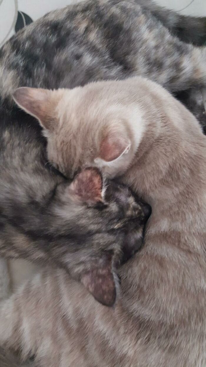 Hey Pandas, Share One Photo That You Took And Are Proud Of (Closed) Hey Pandas, Share One Photo That You Took And Are Proud Of (Closed)