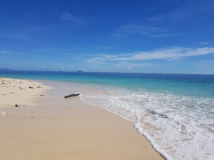 Hey Pandas, Share One Photo That You Took And Are Proud Of (Closed) Hey Pandas, Share One Photo That You Took And Are Proud Of (Closed)