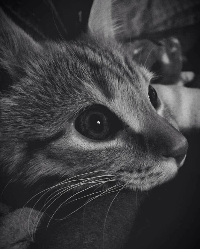 Hey Pandas, Share One Photo That You Took And Are Proud Of (Closed) Hey Pandas, Share One Photo That You Took And Are Proud Of (Closed)