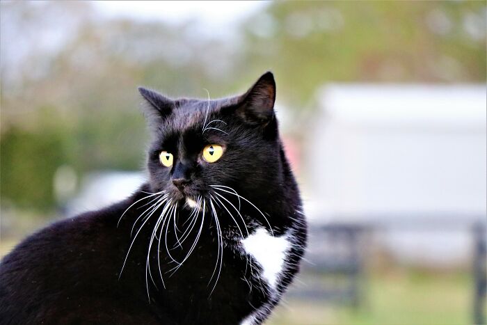 Hey Pandas, Share One Photo That You Took And Are Proud Of (Closed) Hey Pandas, Share One Photo That You Took And Are Proud Of (Closed)