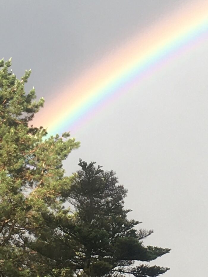 Hey Pandas, Share One Photo That You Took And Are Proud Of (Closed) Hey Pandas, Share One Photo That You Took And Are Proud Of (Closed)