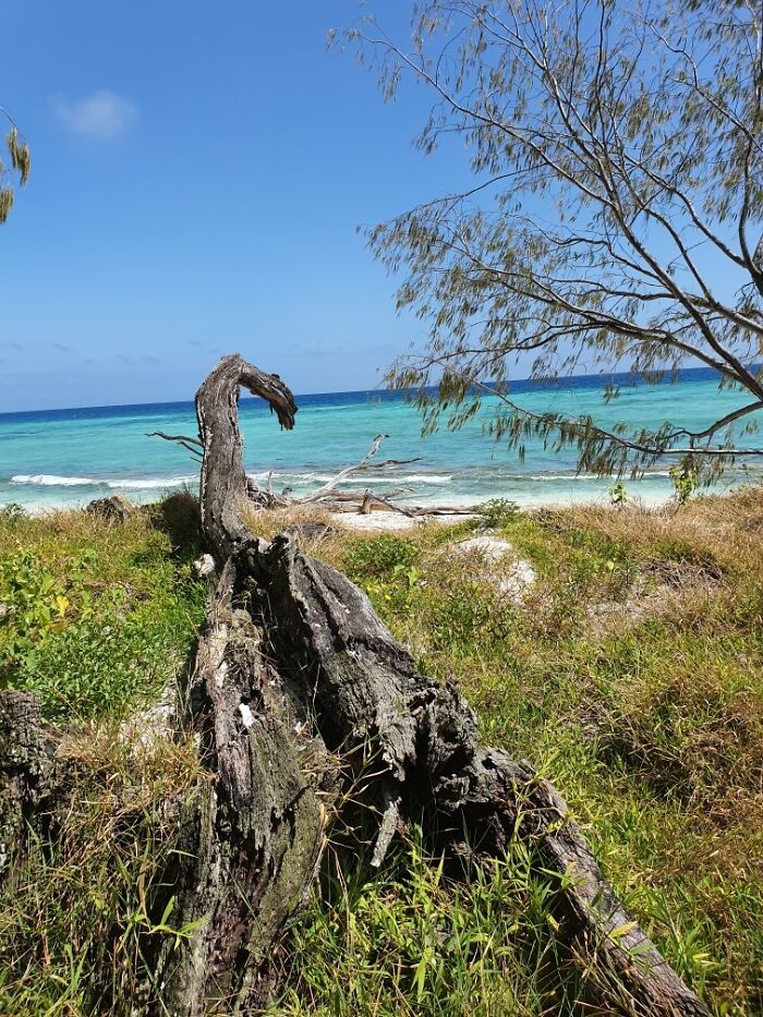 Hey Pandas, Share One Photo That You Took And Are Proud Of (Closed) Hey Pandas, Share One Photo That You Took And Are Proud Of (Closed)