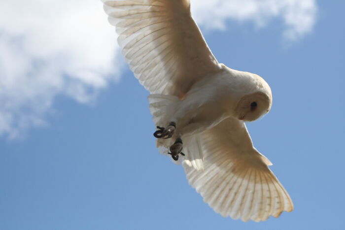 Hey Pandas, Share One Photo That You Took And Are Proud Of (Closed) Hey Pandas, Share One Photo That You Took And Are Proud Of (Closed)