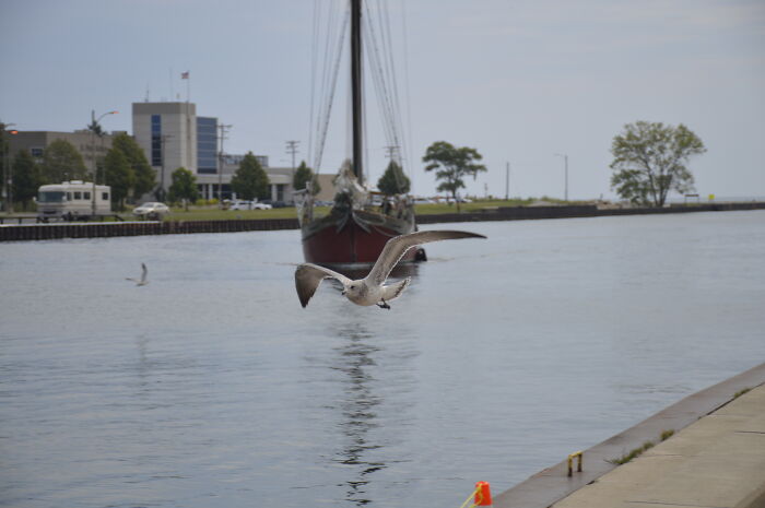 Hey Pandas, Share One Photo That You Took And Are Proud Of (Closed) Hey Pandas, Share One Photo That You Took And Are Proud Of (Closed)