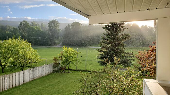 Hey Pandas, Share One Photo That You Took And Are Proud Of (Closed) Hey Pandas, Share One Photo That You Took And Are Proud Of (Closed)