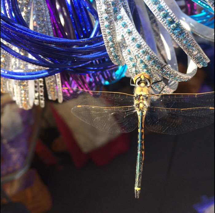 Hey Pandas, Share One Photo That You Took And Are Proud Of (Closed) Hey Pandas, Share One Photo That You Took And Are Proud Of (Closed)