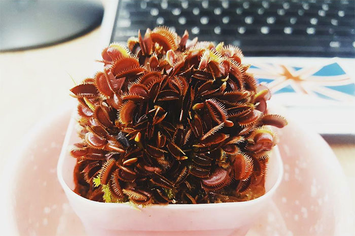 50 Of The Most WTF Images From The ‘WTF’ Online Group