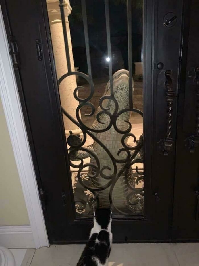 50 Of The Most WTF Images From The ‘WTF’ Online Group