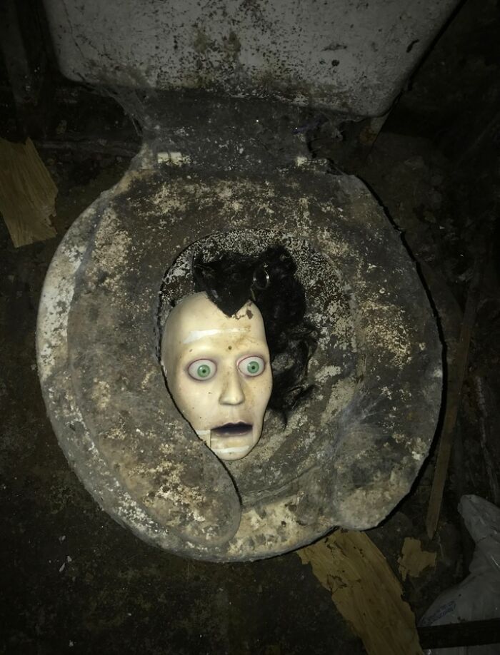 50 Of The Most WTF Images From The ‘WTF’ Online Group