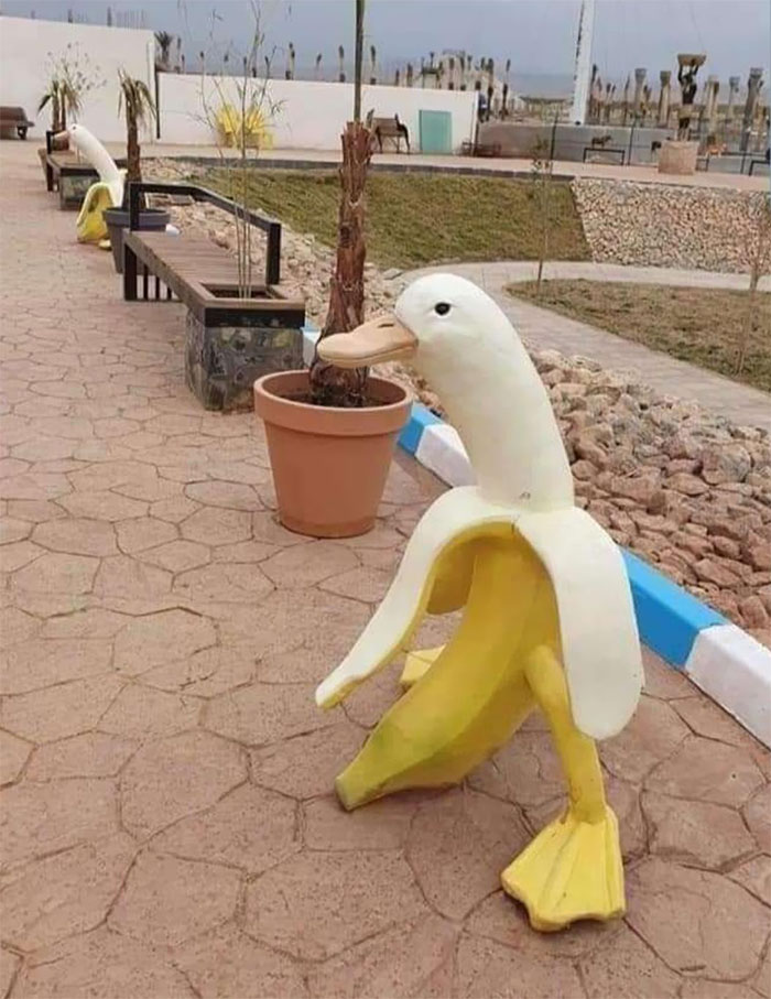 50 Of The Most WTF Images From The ‘WTF’ Online Group