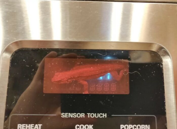 50 Of The Most WTF Images From The ‘WTF’ Online Group