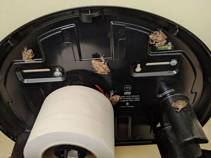 50 Of The Most WTF Images From The ‘WTF’ Online Group