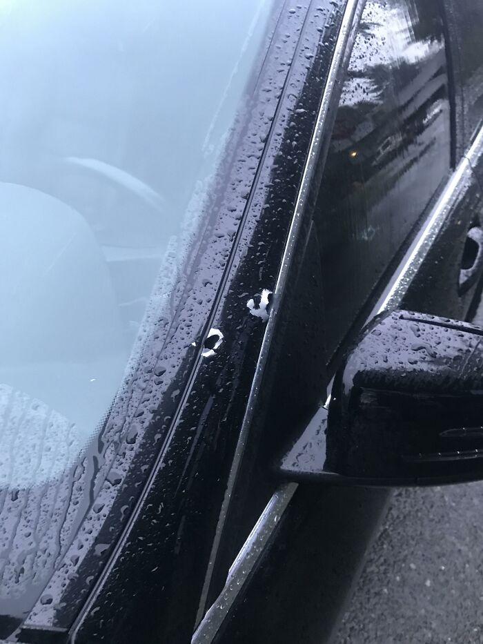 50 Of The Most WTF Images From The ‘WTF’ Online Group