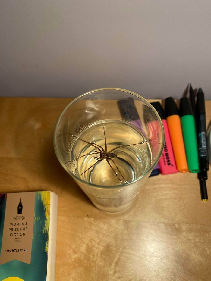 50 Of The Most WTF Images From The ‘WTF’ Online Group