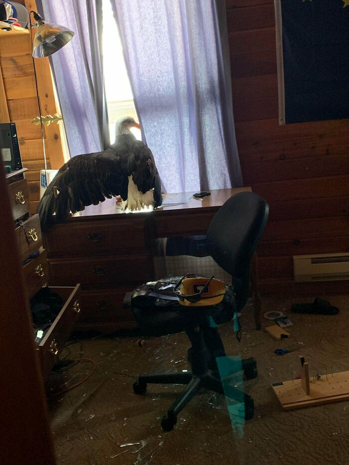 50 Of The Most WTF Images From The ‘WTF’ Online Group