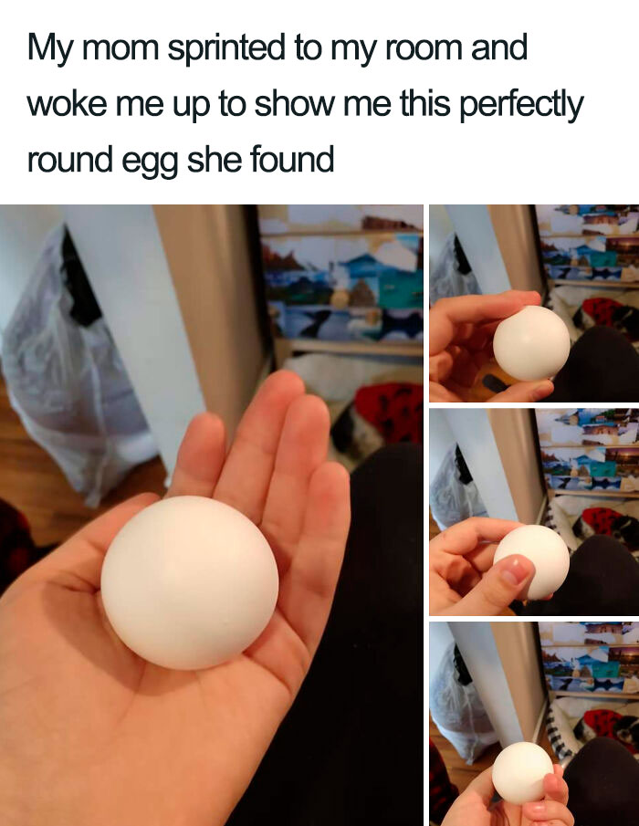 50 Times Parents Acted So Wholesome, They Made Their Kid’s Day 50 Times Parents Acted So Wholesome, They Made Their Kid’s Day