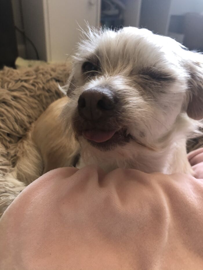 Share Unflattering Photos Of Your Pets (Closed) Share Unflattering Photos Of Your Pets (Closed)