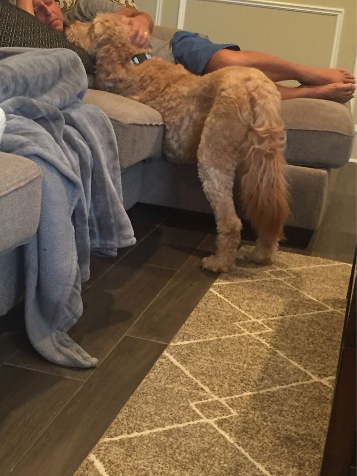 Share Unflattering Photos Of Your Pets (Closed) Share Unflattering Photos Of Your Pets (Closed)