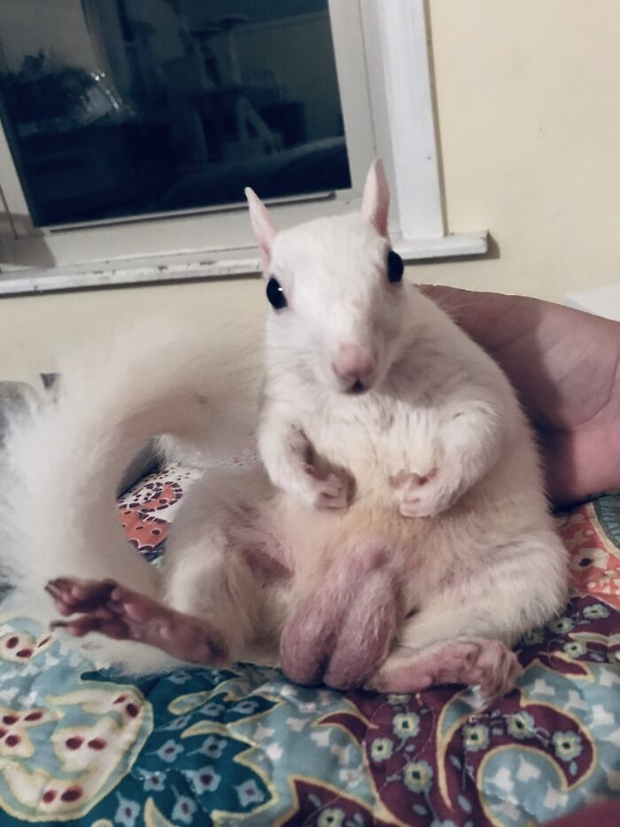 Share Unflattering Photos Of Your Pets (Closed) Share Unflattering Photos Of Your Pets (Closed)