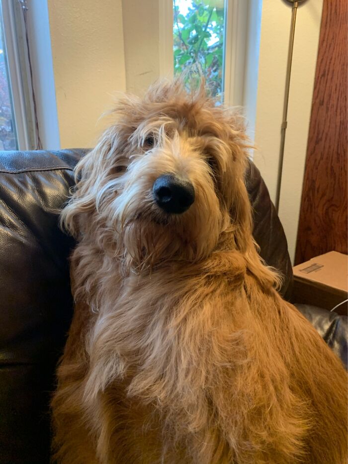 Share Unflattering Photos Of Your Pets (Closed) Share Unflattering Photos Of Your Pets (Closed)