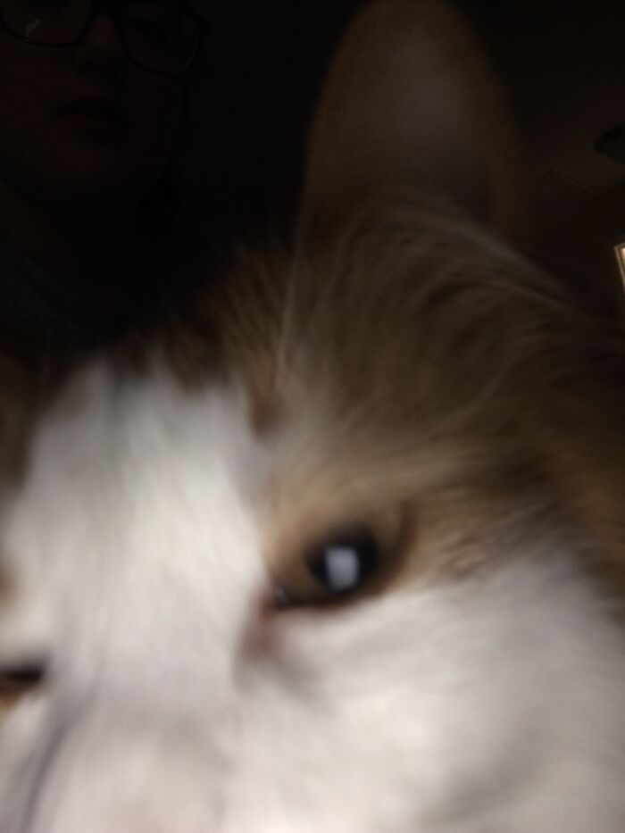 Share Unflattering Photos Of Your Pets (Closed) Share Unflattering Photos Of Your Pets (Closed)