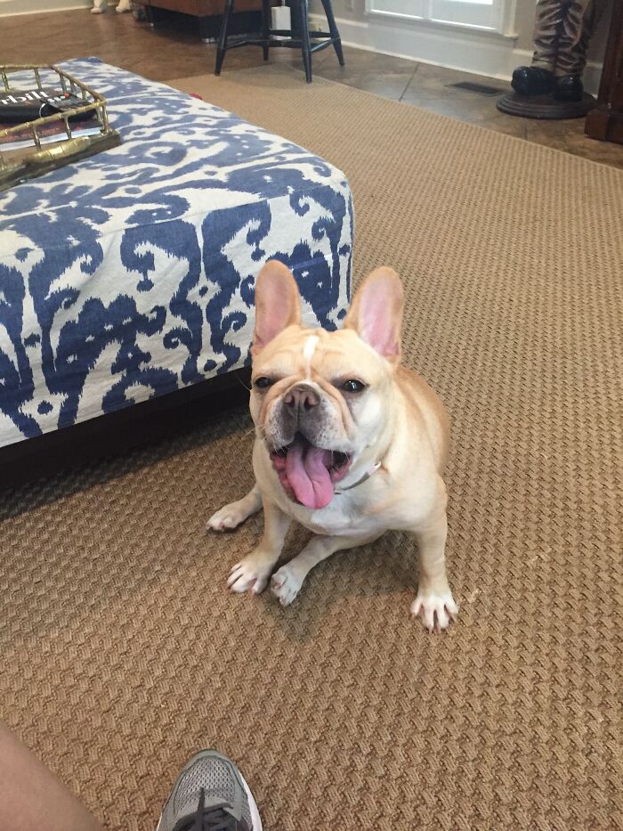 Share Unflattering Photos Of Your Pets (Closed) Share Unflattering Photos Of Your Pets (Closed)